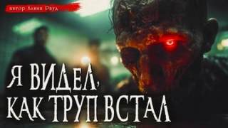 Общество чистых тарелок — Миронов Иван, Елькова Анна