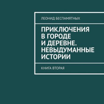 Приключения в городе и деревне. Невыдуманные истории — Беспамятных Леонид