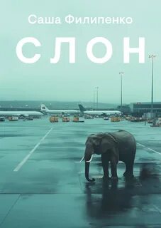 Слон — Филипенко Саша