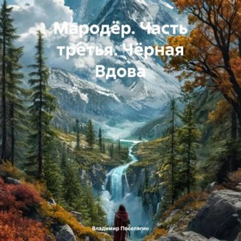 Мародёр. Часть третья. Чёрная Вдова - Поселягин Владимир