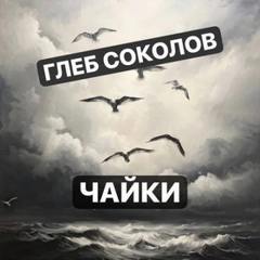 Чайки - Соколов Глеб