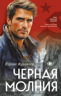 Черная молния - Журавлев Сергей