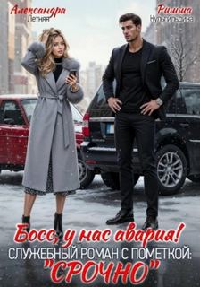 Босс, у нас авария! Служебный роман с пометкой «Срочно» — Кульгильдина Римма, Летняя Александра