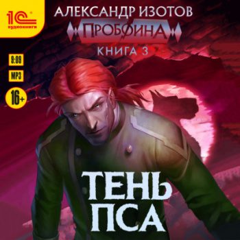 Пробоина. Книга 3. Тень пса — Изотов Александр