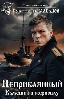 Неприкаянный. Камешек в жерновах — Калбазов Константин