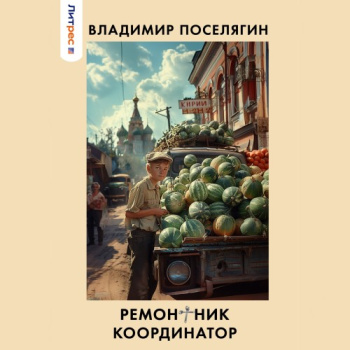 Ремонтник 3. Координатор — Поселягин Владимир