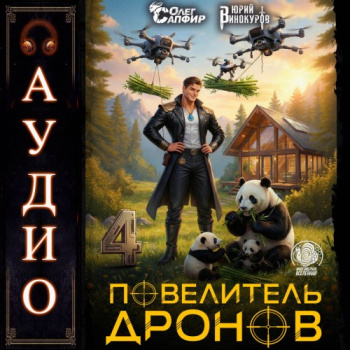 Повелитель дронов – 4 — Винокуров Юрий, Сапфир Олег