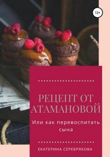 Рецепт от Атамановой, или Как перевоспитать сына - Серебрякова Екатерина